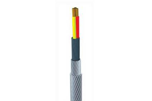 W3B-5.6קاڧݧߧ5.6mm PP ڧ٧ݧڧߧߧ ҧ֧ ܧѧߧڧӧѧߧߧ ݧ֧ܧާ֧ѧߧڧ֧ܧ